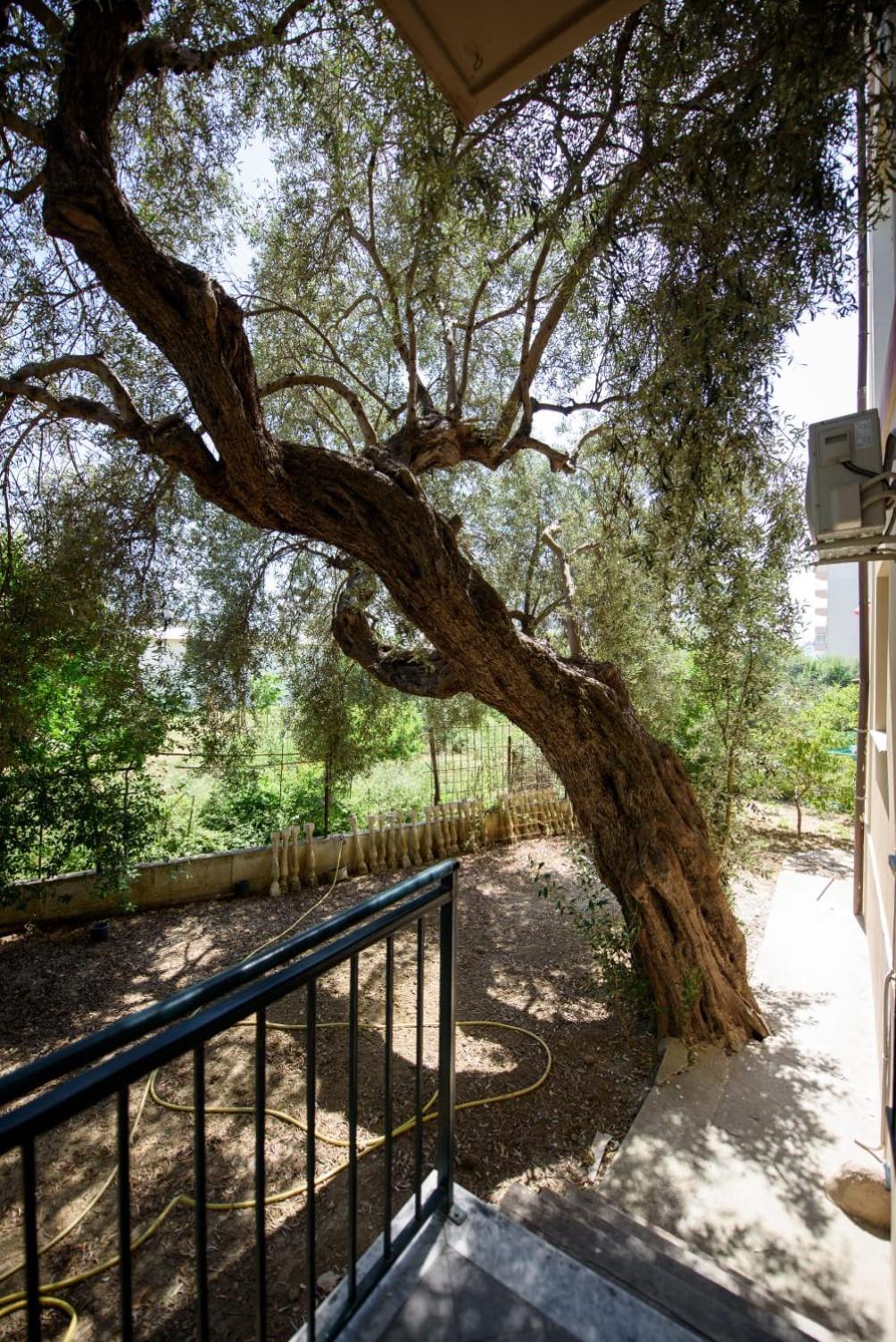Olivium Rooms Vlorë Esterno foto