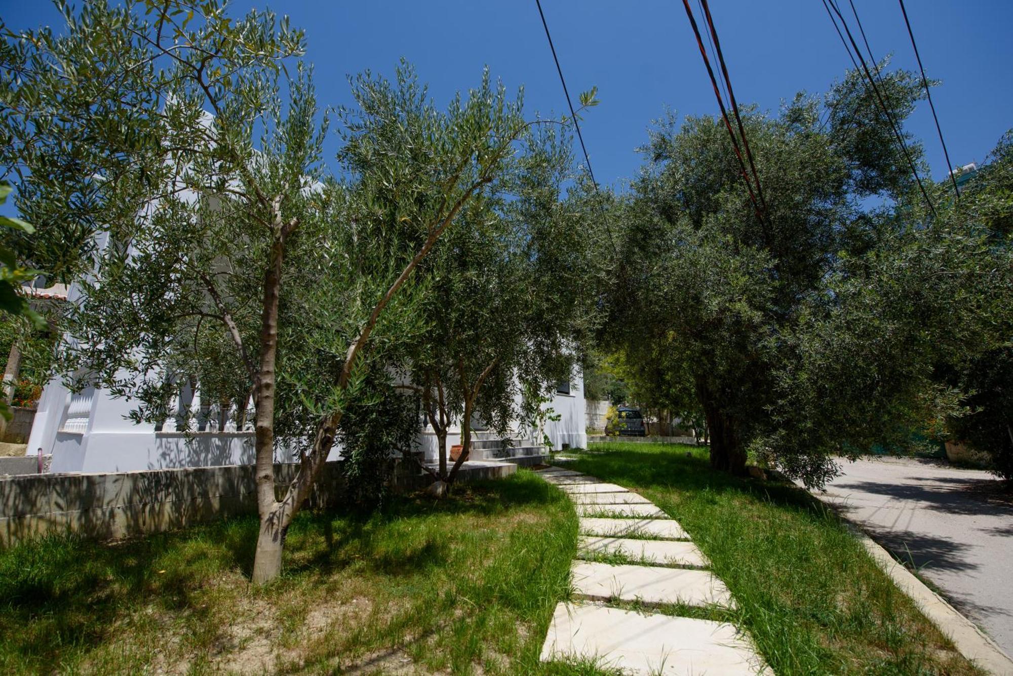 Olivium Rooms Vlorë Esterno foto